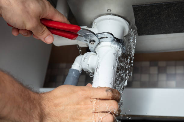 Best Water damage cleanup near me  in Des Moines, WA