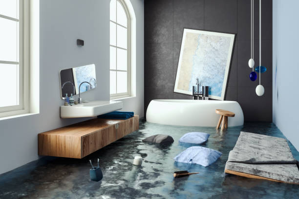 Best Mold removal after water damage  in Des Moines, WA