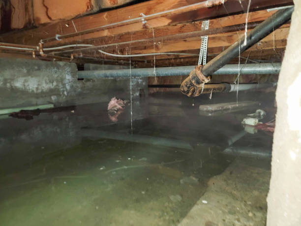 Best Water damage restoration near me  in Des Moines, WA