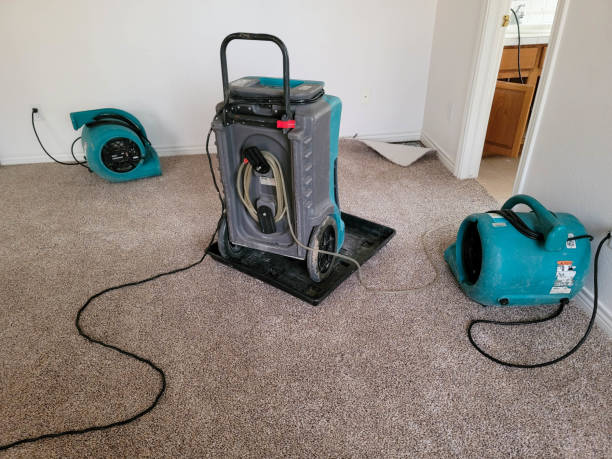 Best Professional water damage repair  in Des Moines, WA