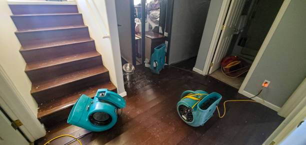Best 24/7 water damage repair  in Des Moines, WA
