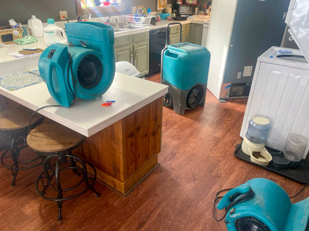 Best Sewage cleanup and water damage restoration  in Des Moines, WA