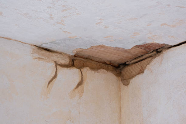 Best Carpet water damage restoration  in Des Moines, WA