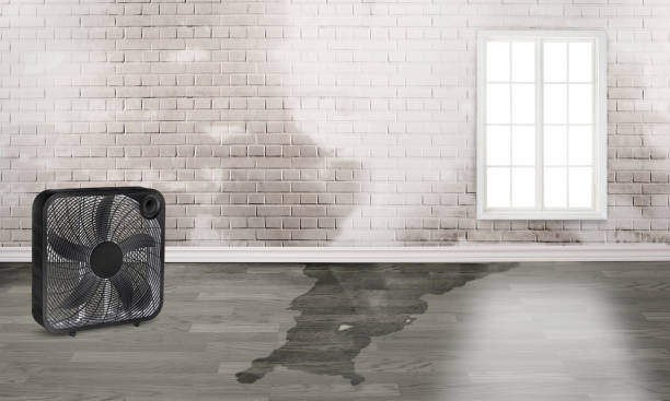 Water damage restoration insurance claims in Des Moines, WA
