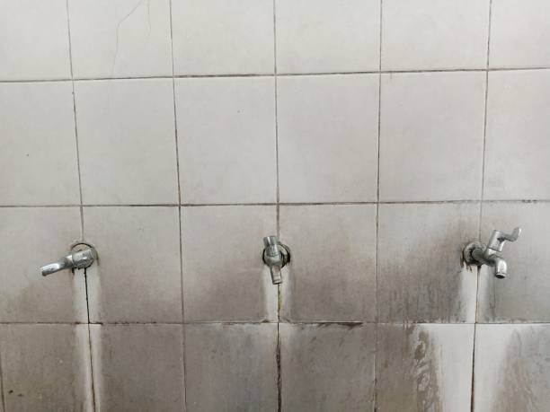 Best Flood restoration services  in Des Moines, WA