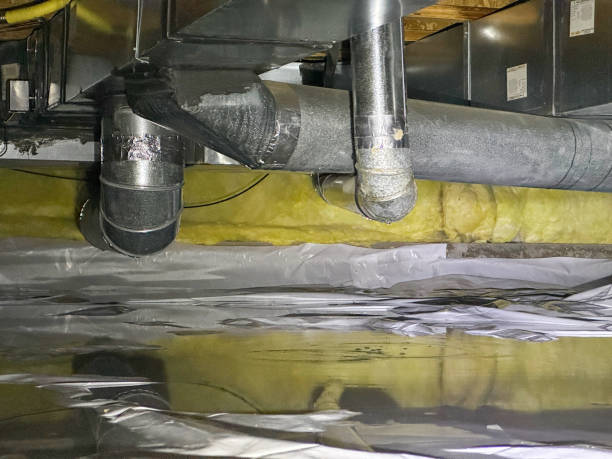 Best Ceiling water damage repair  in Des Moines, WA