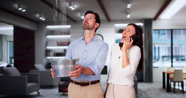 Best Water damage repair service  in Des Moines, WA