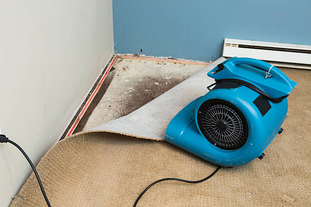 Best Water damage restoration experts  in Des Moines, WA